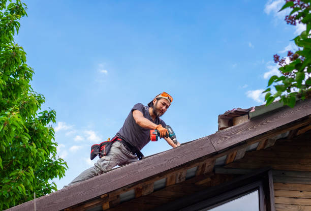 Roof Coating Services in Wagon Wheel, AZ